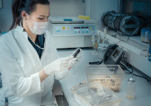 游戲軟件設(shè)計(jì)制作的技術(shù)服務(wù)采購指南