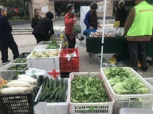 便捷與實惠并行 高品質農(nóng)產(chǎn)品進社區(qū)，守護市民餐桌健康