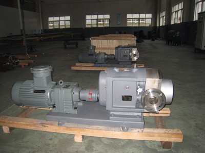 普利施65PLST6-10 日用化工轉(zhuǎn)子泵,甘油、化妝品料漿輸送泵 價(jià)格優(yōu)惠歡迎咨詢圖片_高清圖_細(xì)節(jié)圖-江蘇普利施泵業(yè) -